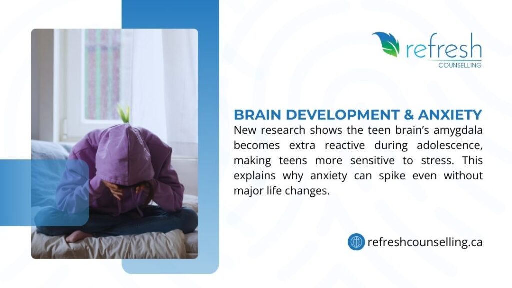 A teenager sits hunched over on a bed with a hoodie pulled over their head, representing the link between adolescent brain development and anxiety.