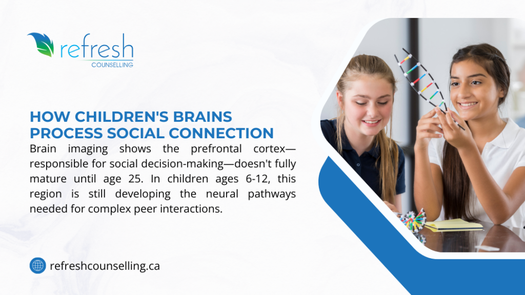 Children's brains processing social connection, showing prefrontal cortex development and peer interactions in ages 6-12.